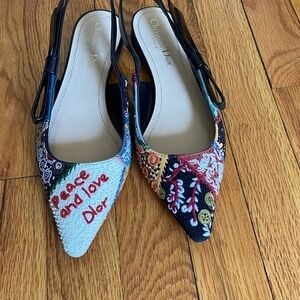 Dior Multicolor Embroidered Women's Shoes